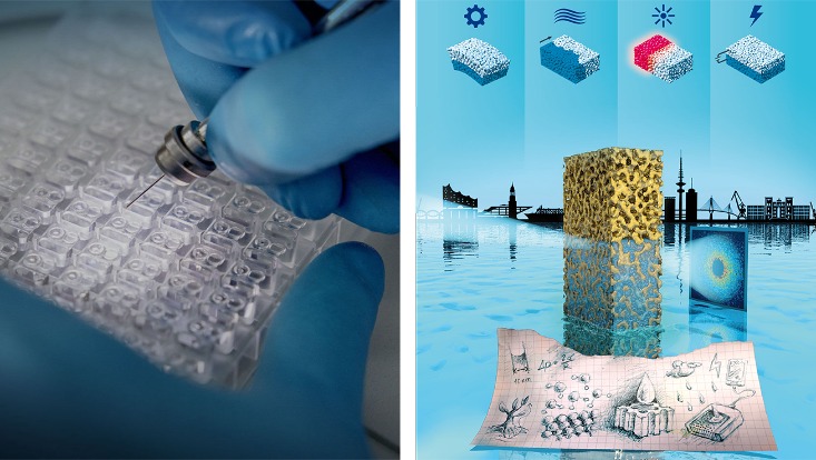 The two excellence cluster proposals deal respectively with infectious disease research including its structural biology aspects and water-driven new materials.