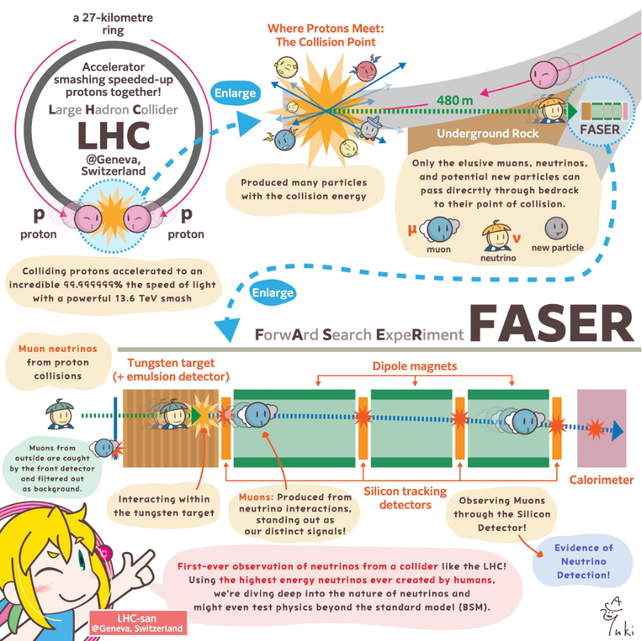 Infographics on the detection of collider neutrinos at LHC with the FASER experiment.